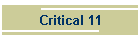 Critical 11